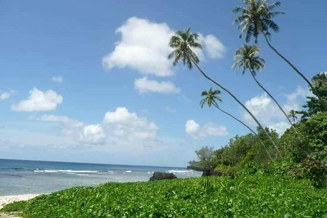 Namua Turtle Island and Eastern Upolu Tour - What’s Included and What’s Not