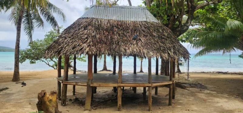Namua Turtle Island Tour with Snorkeling - Practical Tips for Travelers