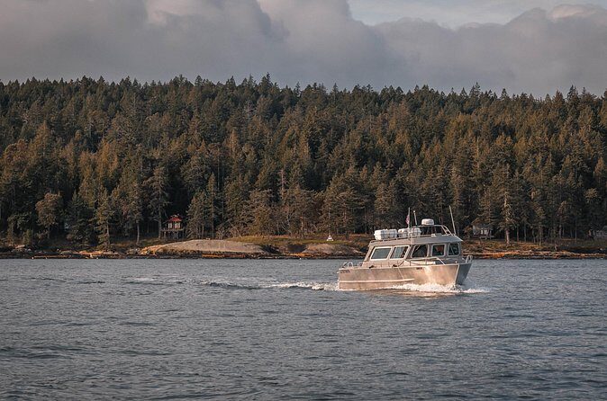 Nanaimo Private Whale Watching - Ideal for Who?
