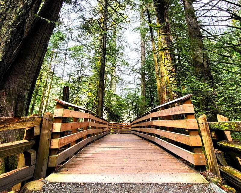Nanaimo: Vancouver Island Waterfalls, Vistas, Hikes & Caves - A Detailed Look at the Tour Experience