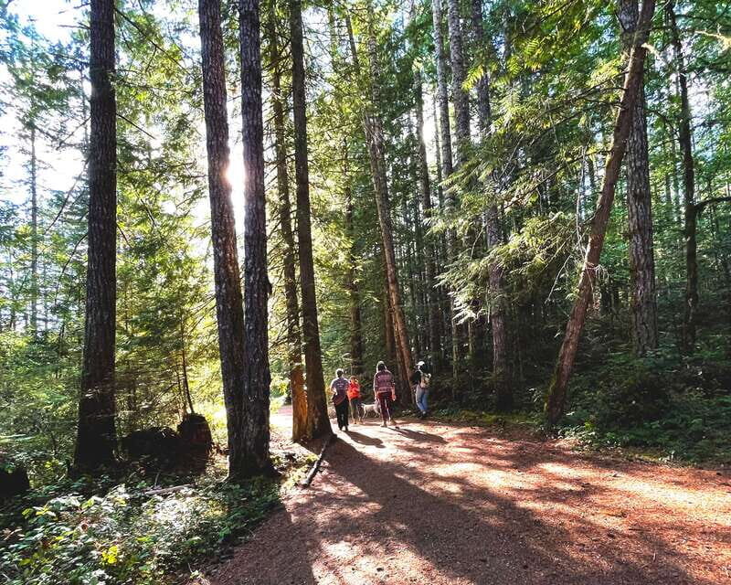 Nanaimo: Vancouver Island Waterfalls, Vistas, Hikes & Caves - Who Should Consider This Tour?