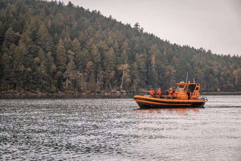 Nanaimo: Whale Watching Open Boat Tour - A Closer Look at the Nanaimo Whale Watching Tour Experience