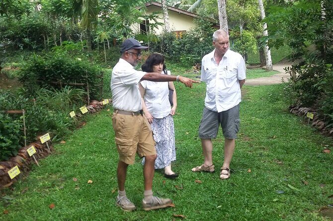 Nandana Tea Walking Tour in Sri Lanka - Summary: Who Will Love This Tour?