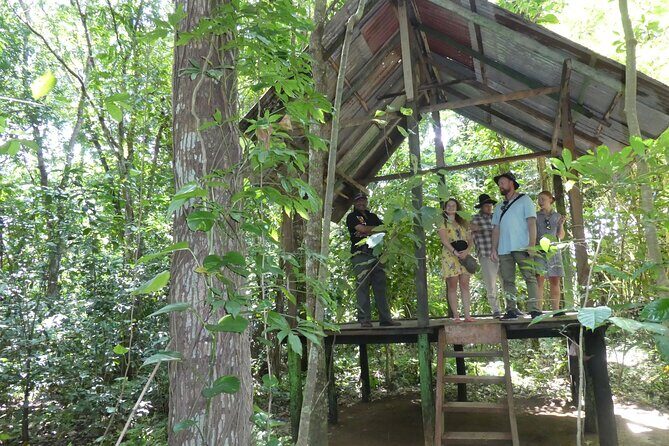Nandana Tea Walking Tour in Sri Lanka - FAQ