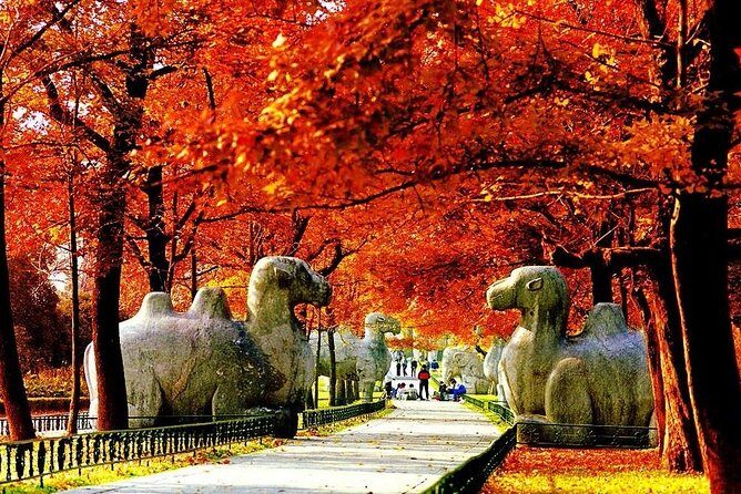 Nanjing City Private Customized Day Tour with Lunch - An In-Depth Look at the Tour Experience