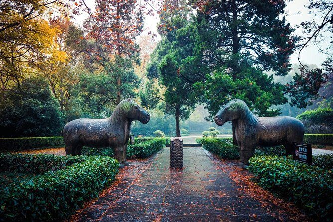 Nanjing Day Tour from Shanghai by Bullet Train - What Real Travelers Are Saying
