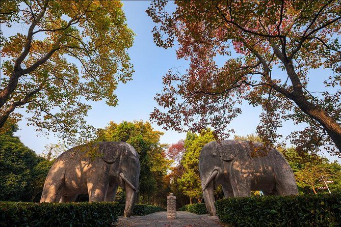 Nanjing Day Tour from Shanghai by Bullet Train - Who This Tour Is Perfect For