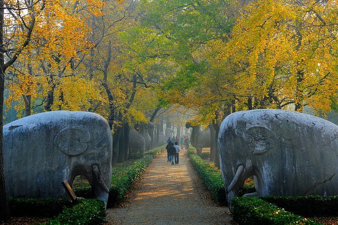Nanjing Private English Tour Guide Service - Expert Guidance and Local Insights