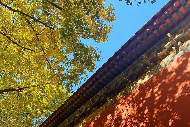 Nanjing Professional and Private English Tour Guide Service - The Itinerary: An In-Depth Look