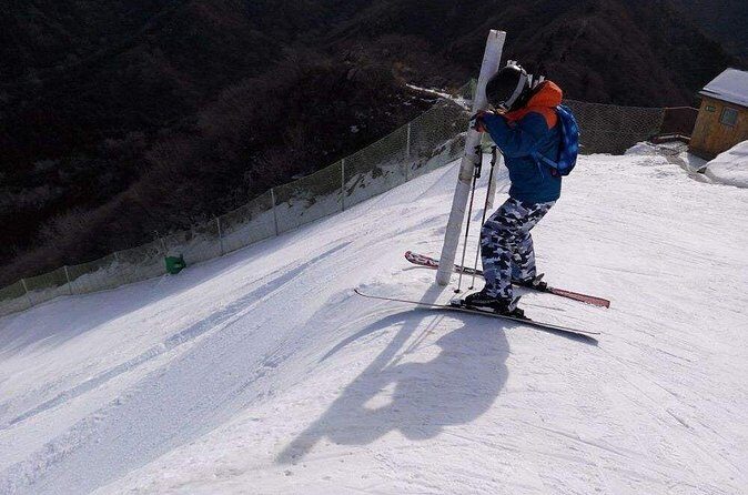 Nanshan Ski Resort Day Trip with Private English Speaking Driver - Who Should Consider This Tour?