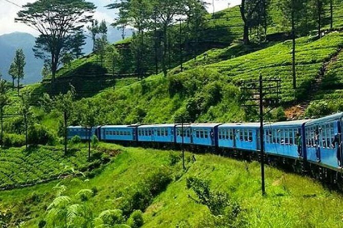 Nanu Oya to Ella train ride on (Train No: 1005 "Podi Menike") - Key Points