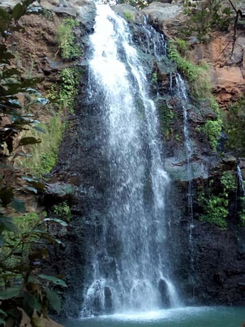 Nanyuki : Ngare Ndare Day Trip - Key Points