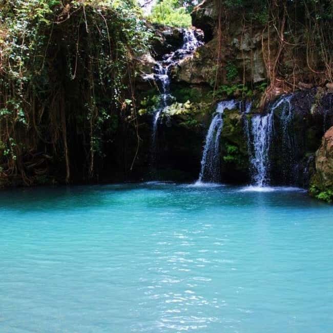 Nanyuki : Ngare Ndare Day Trip - What Is the Ngare Ndare Day Trip?