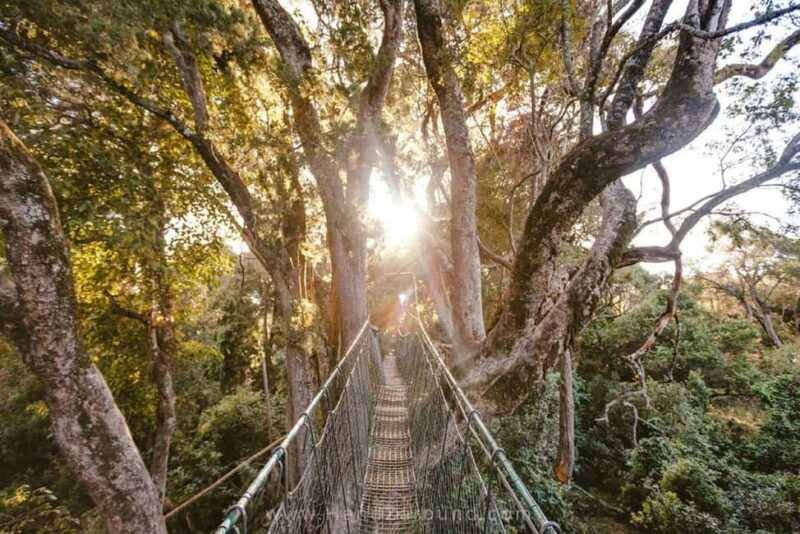 Nanyuki : Ngare Ndare Day Trip - What to Expect and What Not to Expect