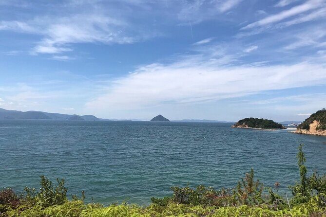 Naoshima Full Day Private Car Tour from Uno - Why Choose This Tour?