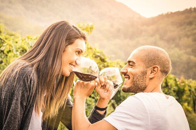 Napa and Sonoma-8-hr Private-Wine Tour from San Francisco XL SUV - Key Points