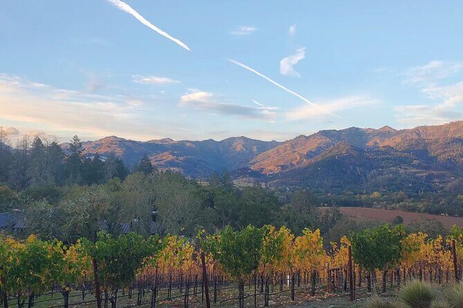 Napa and Sonoma Private Transportation - Real Traveler Insights