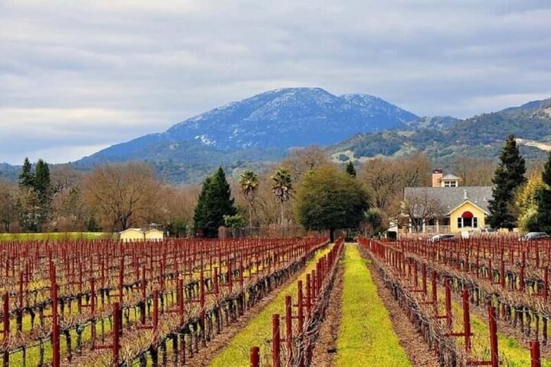 Napa and Sonoma Small Group Wine Tour from San Francisco - Discover Napa and Sonoma on a Small Group Wine Tour from San Francisco