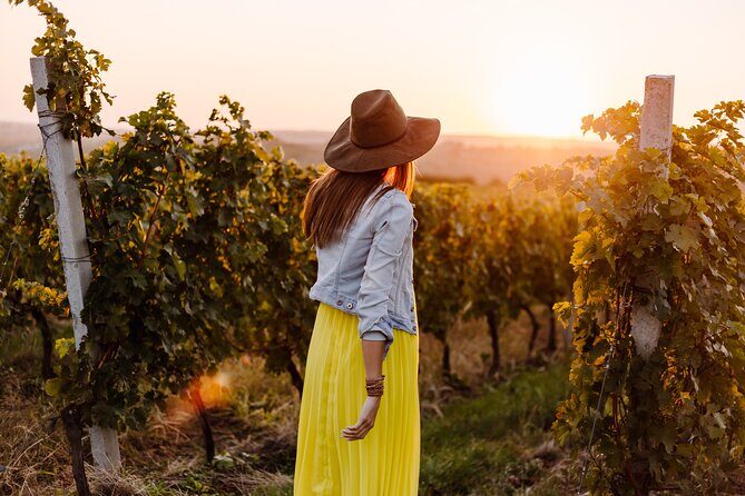 Napa or Sonoma Private Wine Tour from San Francisco - Who Is This Tour Best For?
