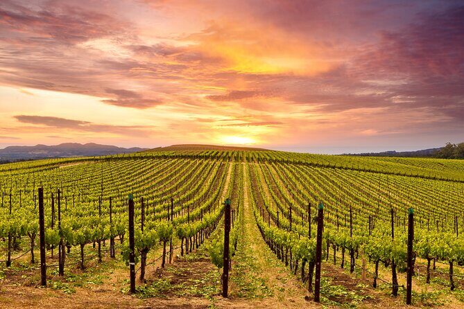 Napa or Sonoma Private Wine Tour from San Francisco - The Sum Up