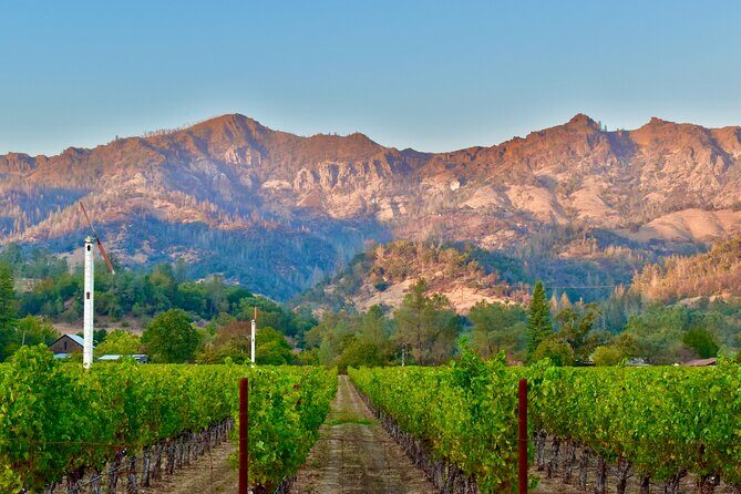 Napa Private 6-Hour Wine Adventure - An In-Depth Look at the Value