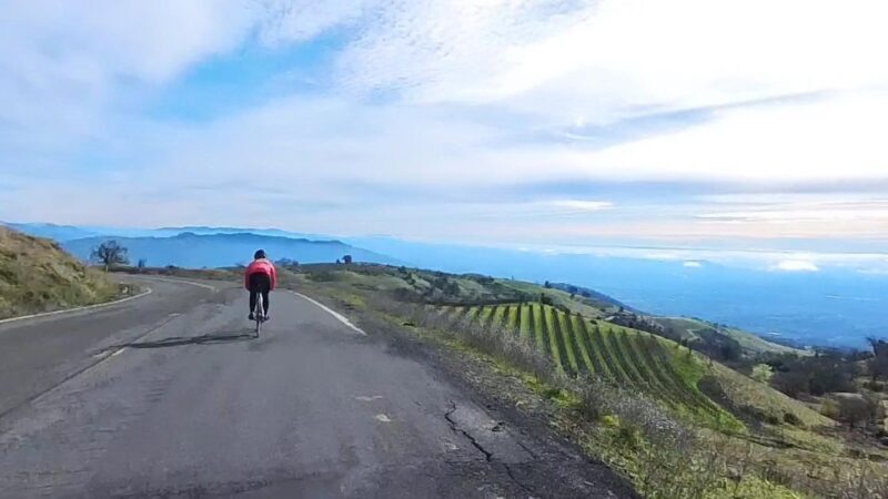 Napa/Sonoma: Guided Tour for Cycling Enthusiasts - The Experience: What You Can Expect from the Tour
