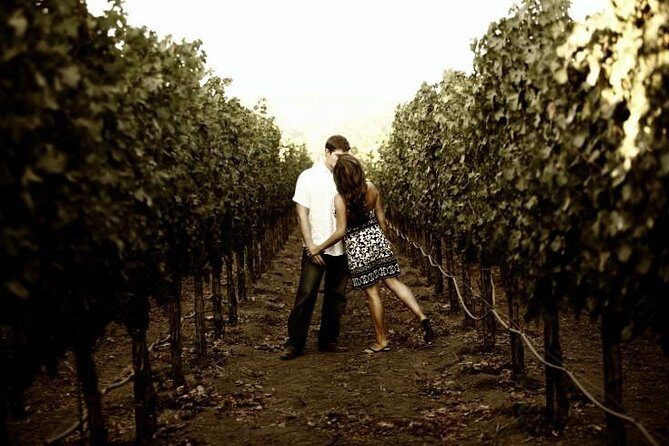 Napa - Sonoma Limo up to 9 passengers - Why Choose This Napa and Sonoma Limo Tour?