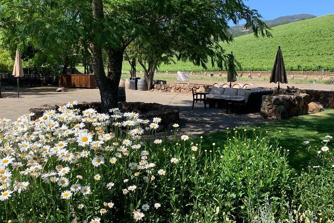 Napa & Sonoma Wine Tour | 6-8hr Private Fully Customized.*XL SUV - Who Should Consider This Tour?