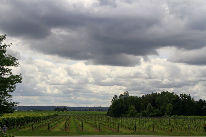 Napa & Sonoma Wine Tour Private Tours 8 to 10 Hours max 14 pax - The Experience in Detail: What You Can Expect