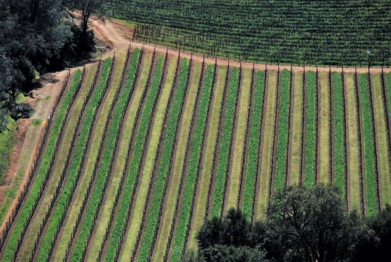 Napa Valley: Airplane Napa Valley Tour - The Value of a 1.5-Hour Flight