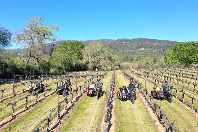 Napa Valley Classic Sidecar Wine tours - Who Should Consider This Tour?