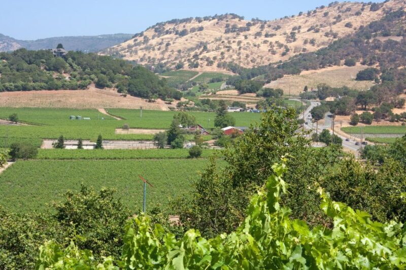 Napa Valley: Driver & Guide Service California wine country - The Sum Up