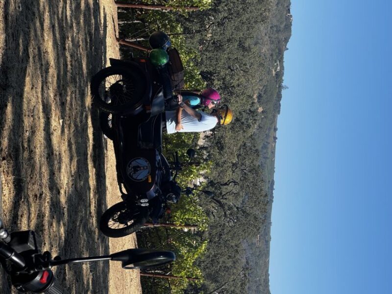 Napa Valley: Napa Valley Guided Sidecar Tour with 3 Wineries - Analyzing the Value: Is It Worth It?