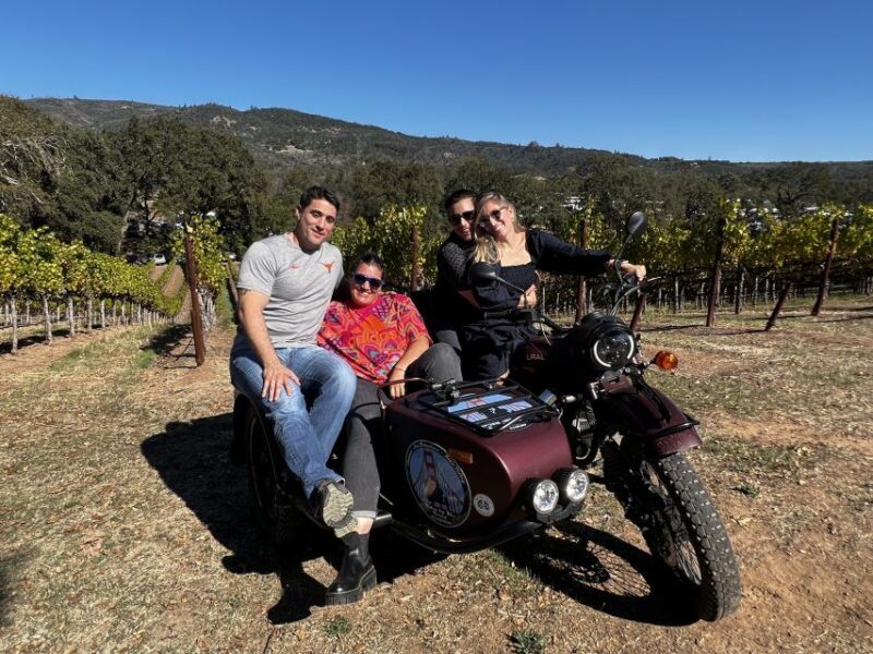 Napa Valley: Napa Valley Guided Sidecar Tour with 3 Wineries - Who Should Consider This Tour?