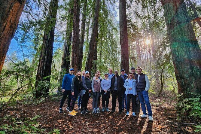 Napa Valley Redwood Hike - Key Points