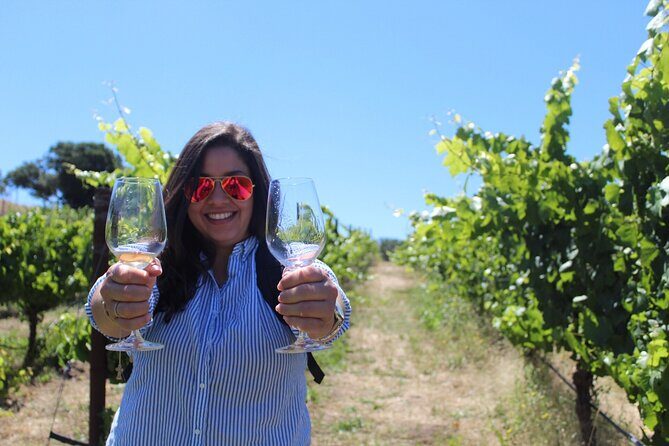 Napa Valley Wine and Food Tasting Tour from San Francisco - The Sum Up