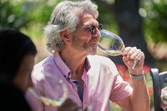 Napa Valley Wine Safari Tour Explore Wine Country's Hidden Gems - An In-Depth Look at the Napa Valley Wine Safari Tour