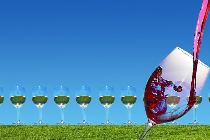 Napa Valley Wine Tasting Tour 6 to 8 Hours max 14 passenger - The Experience in Detail