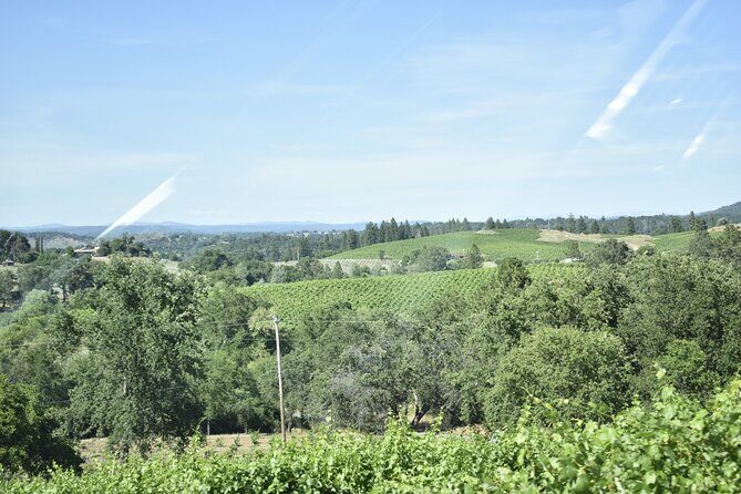Napa Valley Wine Tasting Tour 6 to 8 Hours max 14 passenger - FAQ