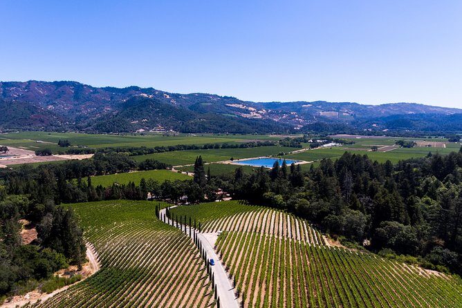 Napa Valley's Best Wine Tour w/ Local Expert - The Itinerary: A Day in Wine Country