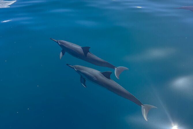NaPali Boat Tour on the Amelia K - The Sum Up