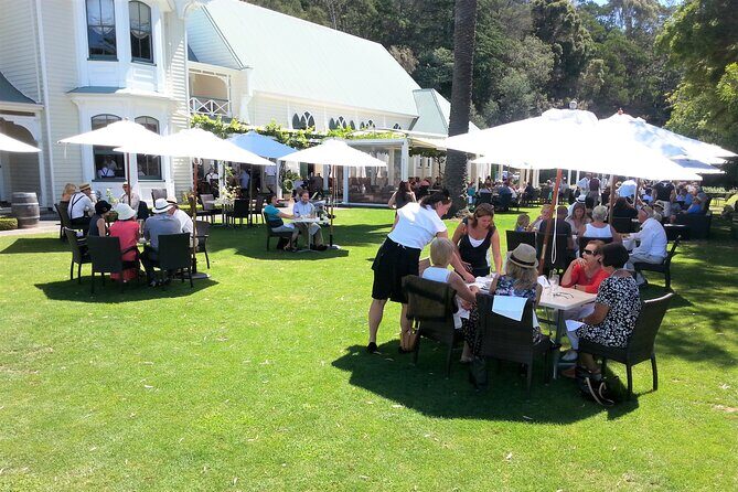 Napier: Afternoon Wine Tasting + visit Silky Oaks Chocolates - The Itinerary in Detail