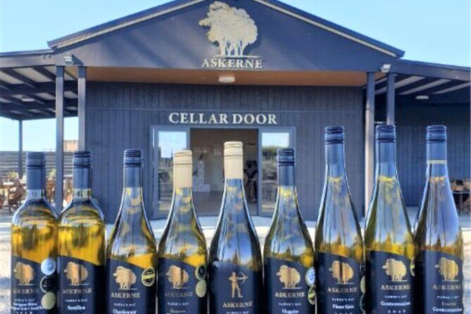 Napier: Afternoon Wine Tasting + visit Silky Oaks Chocolates - The Sum Up