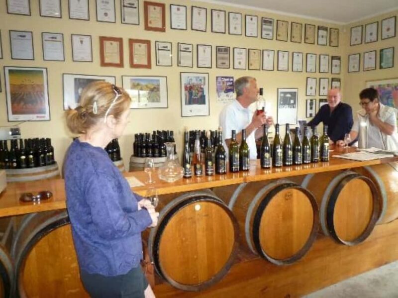 Napier: Afternoon Winery Tour Tasting at 3 Great Wineries - Authentic Traveler Feedback