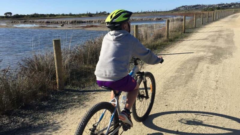 Napier: Art Deco Bike Ride and Wineries Loop - An In-Depth Look at the Napier Art Deco and Wineries Loop