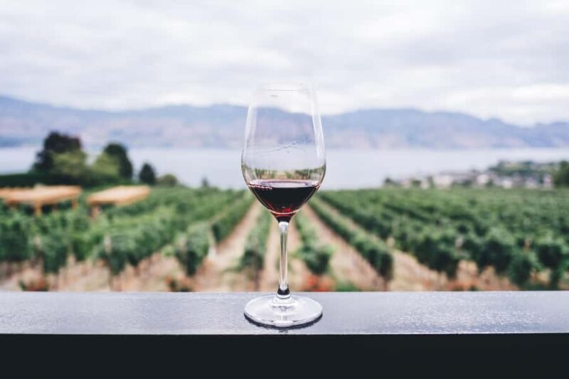 Napier: Art Deco Bike Ride and Wineries Loop - The Sum Up