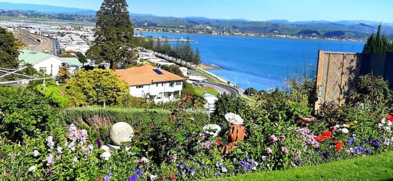 Napier: Art-Deco + Te Mata Peak+ Garden Walk + Wine Tasting - An In-Depth Look at the Napier Experience
