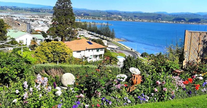 Napier: Art-Deco + Te Mata Peak+ Garden Walk + Wine Tasting - FAQ Section