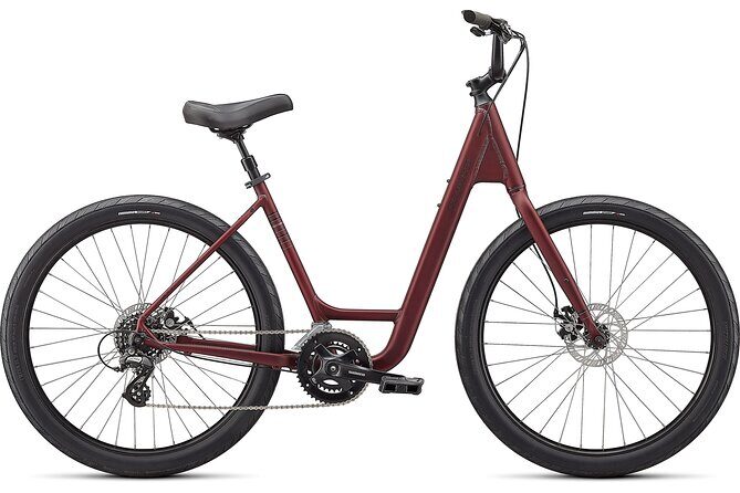 Napier Bike Hire - An introduction to Napier Bike Hire