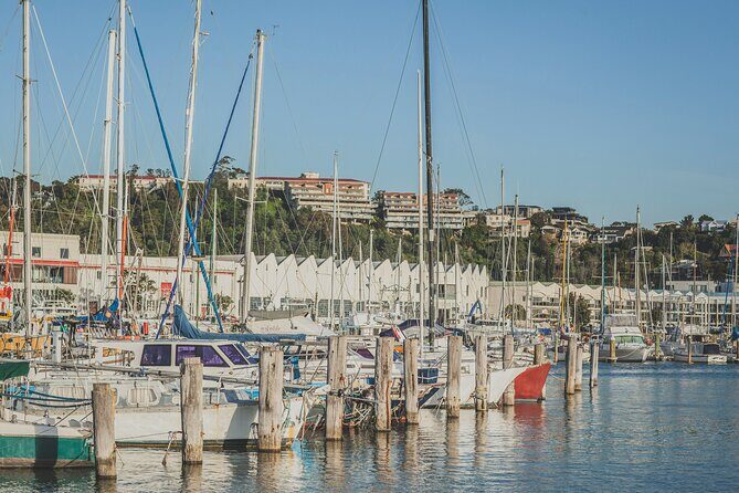 Napier Bike Hire - Practical tips for your ride